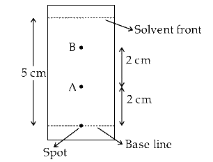 JEE Main 2021 (Online) 25th February Morning Shift Chemistry - Basics of Organic Chemistry Question 176 English