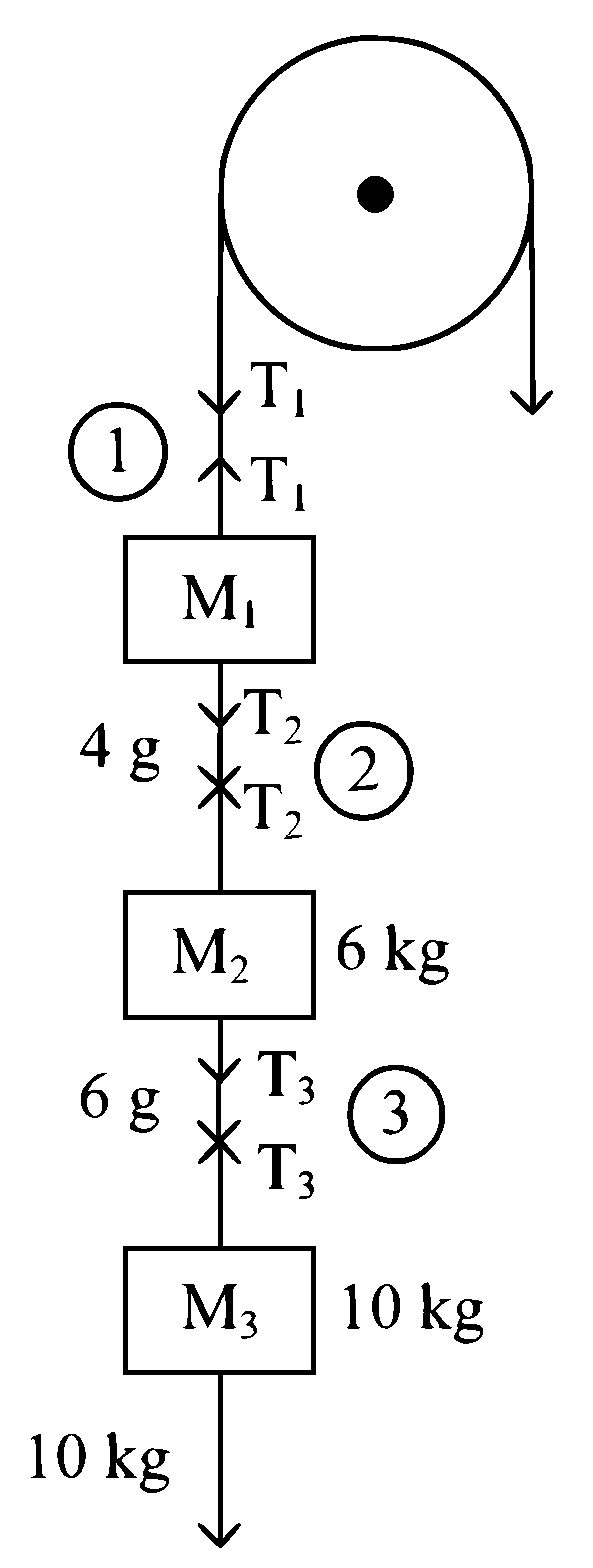 JEE Main 2024 (Online) 5th April Morning Shift Physics - Laws of Motion Question 12 English