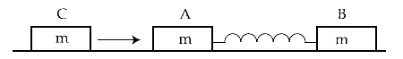 JEE Main 2021 (Online) 17th March Evening Shift Physics - Center of Mass and Collision Question 58 English