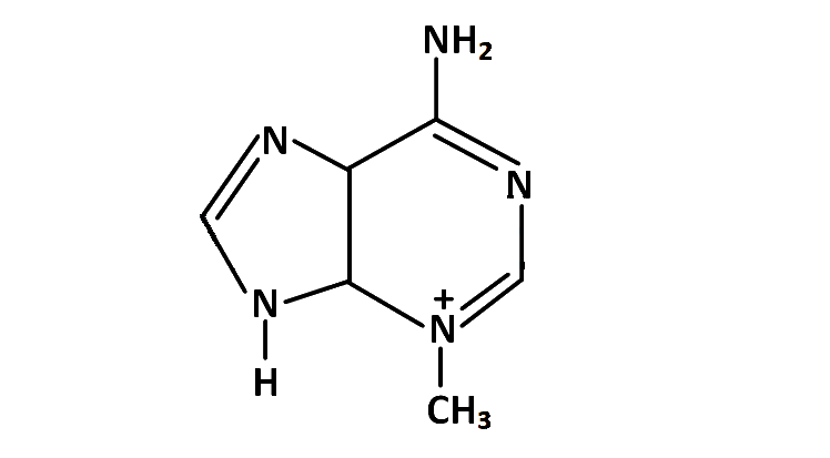 JEE Main 2019 (Online) 8th April Evening Slot Chemistry - Haloalkanes and Haloarenes Question 134 English Option 1