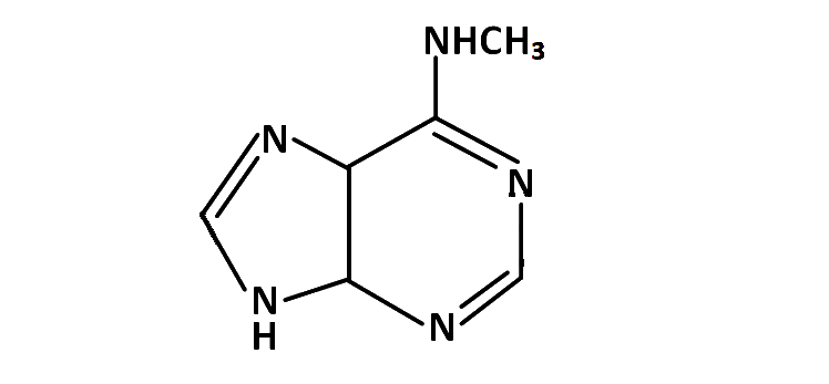 JEE Main 2019 (Online) 8th April Evening Slot Chemistry - Haloalkanes and Haloarenes Question 134 English Option 3