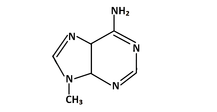 JEE Main 2019 (Online) 8th April Evening Slot Chemistry - Haloalkanes and Haloarenes Question 134 English Option 4