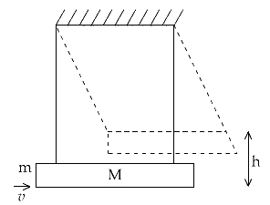 JEE Main 2021 (Online) 16th March Evening Shift Physics - Center of Mass and Collision Question 59 English